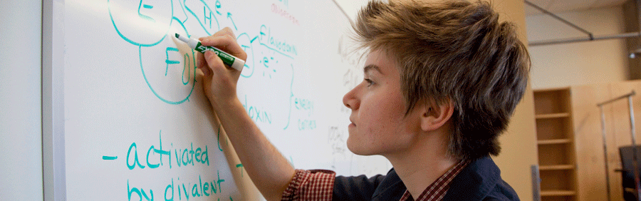 A person writing on a whiteboard