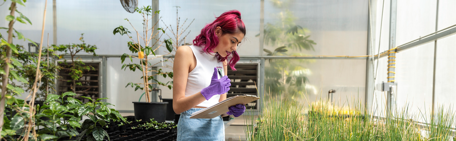Student recording observations in a greenhouse.