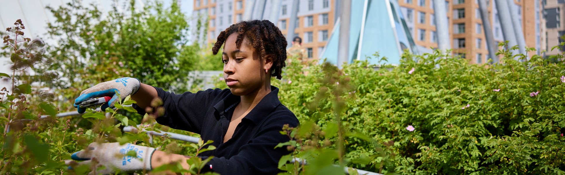 Student gardening outdoors.
